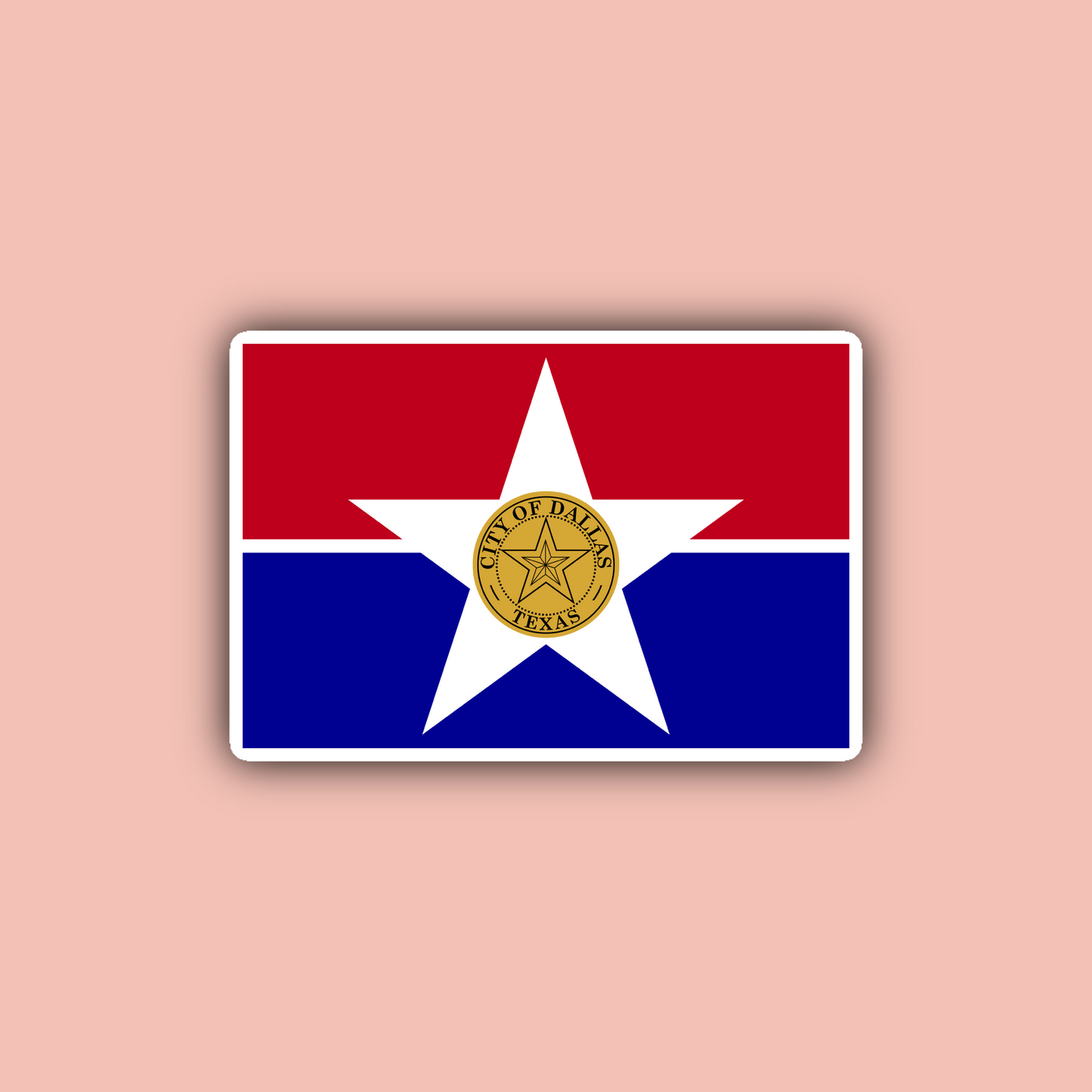 Dallas Texas Sticker Pack