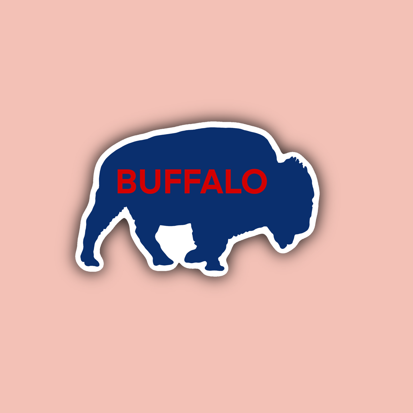 Buffalo New York Sticker Pack