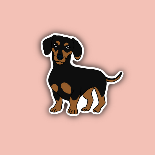 Black Dachshund - 3" Waterproof Sticker