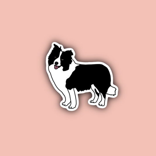 Border Collie - 3" Waterproof Sticker