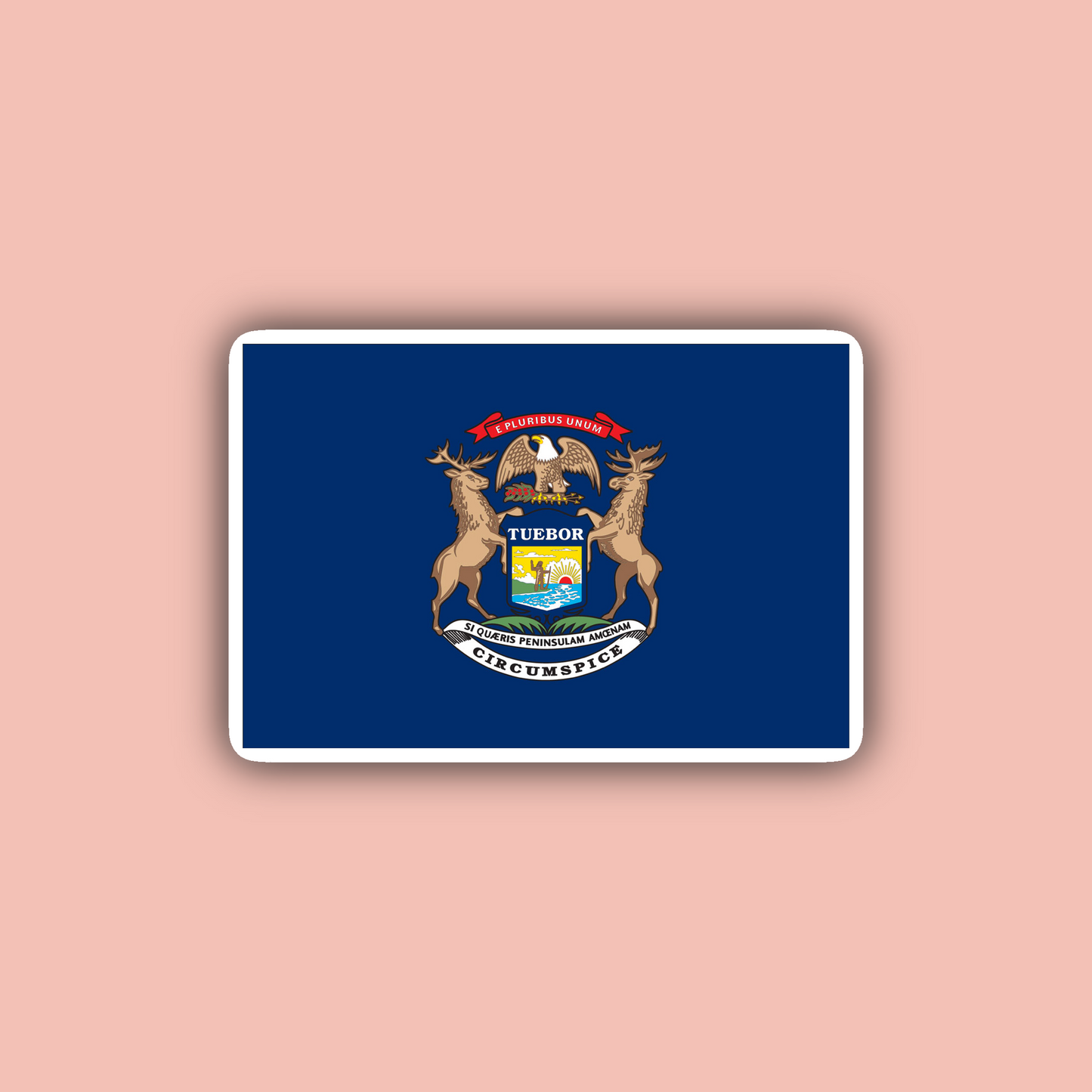 Michigan Sticker Pack