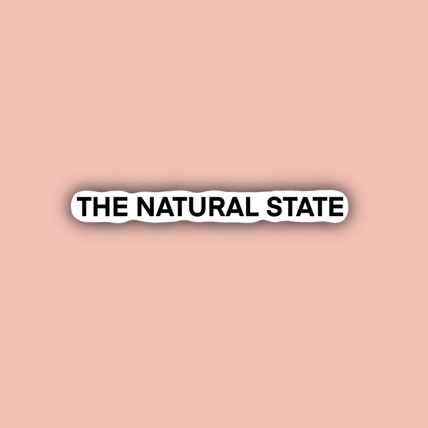 Arkansas Sticker Pack