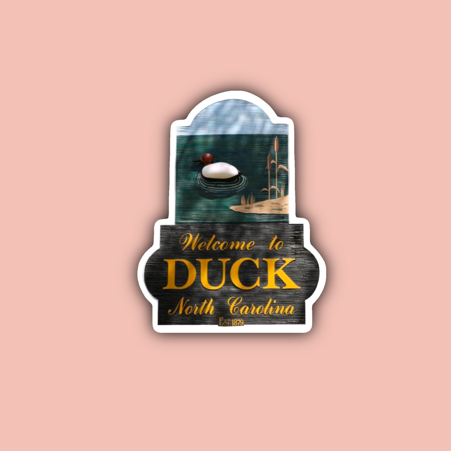 Duck North Carolina Sticker Pack
